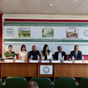 Case Study Area Reggio Calabria kicks off activities with stakeholder meeting Case Study Area Reggio Calabria kicks off activities with stakeholder meeting