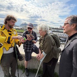 ProPollSoil celebrates World Bee Day 2026 with three events ProPollSoil celebrates World Bee Day 2026 with three events