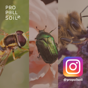 ProPollSoil launches Instagram account